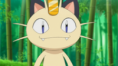 /album/fotogaleria/ep815-meowth-png/