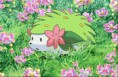 /album/fotogaleria/p11-shaymin-en-un-campo-de-flores-jpg/
